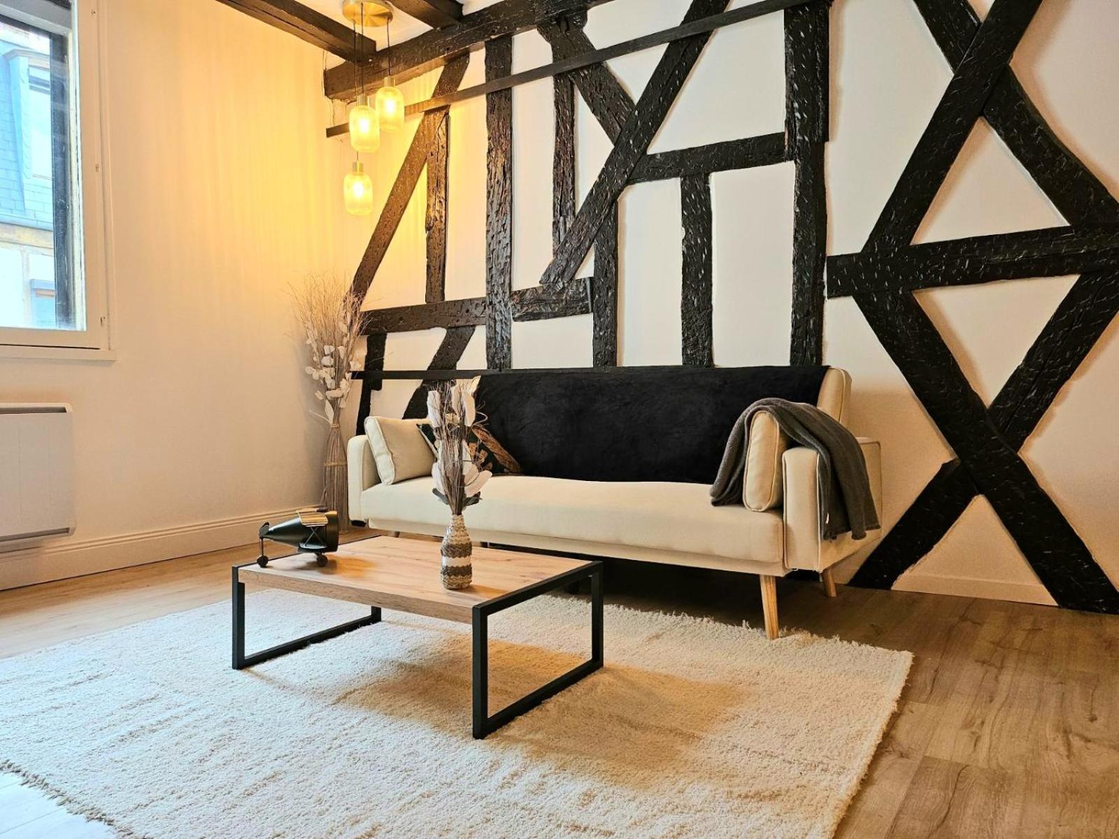 La Dame Blanche - Appartement Hypercentre Historique Bourges Exterior foto